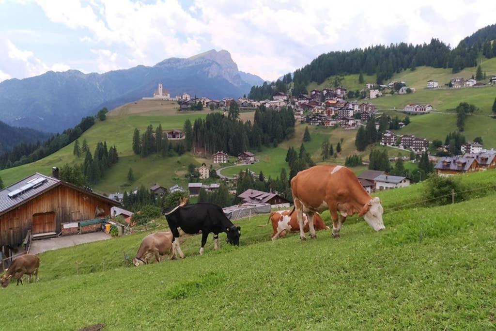 App Col Di Lana - Agriturismo La Majon Da Col Colle Santa Lucia Exterior foto